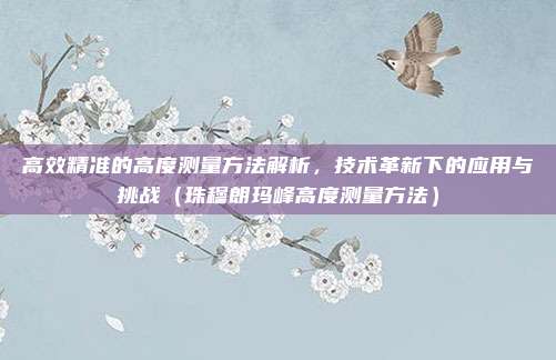 高效精准的高度测量方法解析,技术革新下的应用与挑战(珠穆朗玛峰高度测量方法)