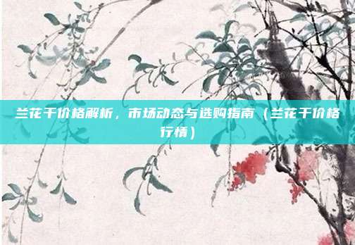 兰花干价格解析,市场动态与选购指南(兰花干价格行情)