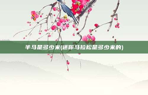 半马是多少米(迷你马拉松是多少米的)
