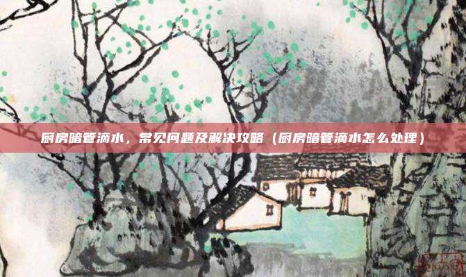 厨房暗管滴水，常见问题及解决攻略（厨房暗管滴水怎么处理）