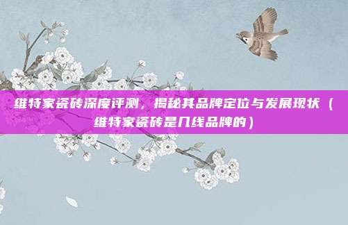 维特家瓷砖深度评测，揭秘其品牌定位与发展现状（维特家瓷砖是几线品牌的）
