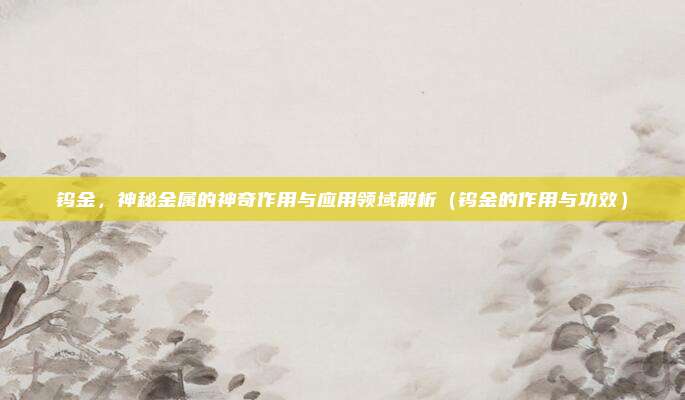 钨金,神秘金属的神奇作用与应用领域解析(钨金的作用与功效)