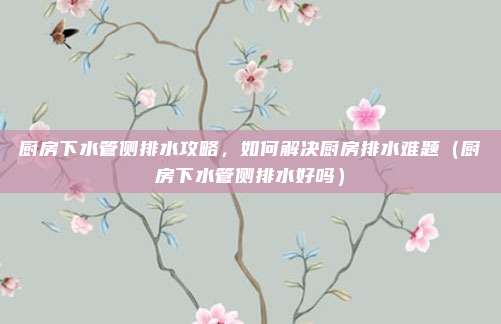 厨房下水管侧排水攻略,如何解决厨房排水难题(厨房下水管侧排水好吗)