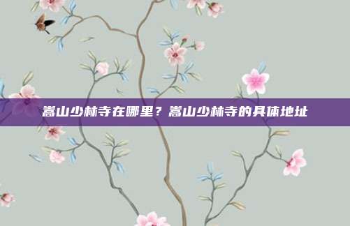 嵩山少林寺在哪里?嵩山少林寺的具体地址
