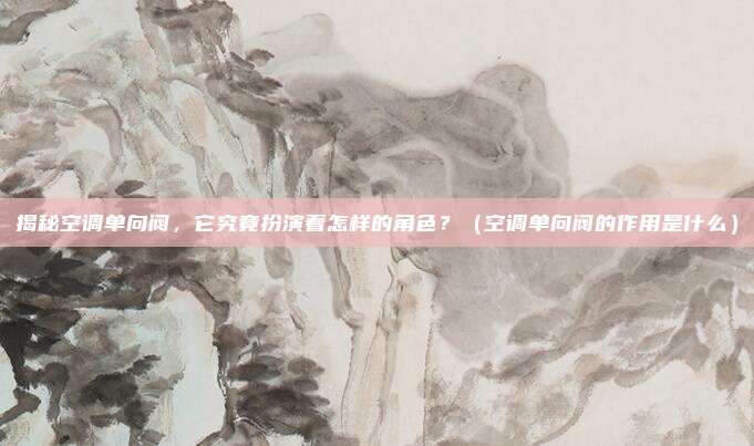 揭秘空调单向阀，它究竟扮演着怎样的角色？（空调单向阀的作用是什么）