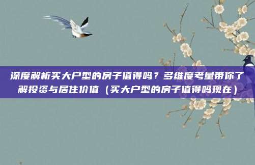 深度解析买大户型的房子值得吗?多维度考量带你了解投资与居住价值(买大户型的房子值得吗现在)
