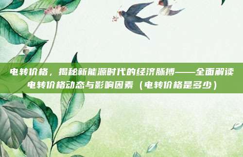 电转价格,揭秘新能源时代的经济脉搏——全面解读电转价格动态与影响因素(电转价格是多少)