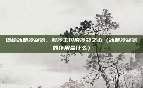 揭秘冰箱冷凝器，制冷王国的冷凝之心（冰箱冷凝器的作用是什么）
