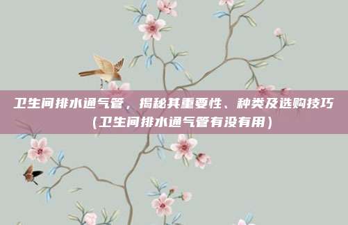 卫生间排水通气管，揭秘其重要性、种类及选购技巧（卫生间排水通气管有没有用）