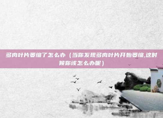 多肉叶片萎缩了怎么办（当你发现多肉叶片开始萎缩,这时候你该怎么办呢）
