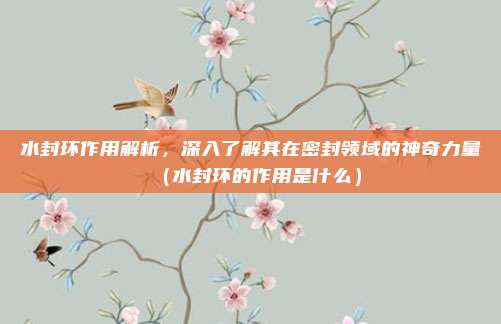 水封环作用解析，深入了解其在密封领域的神奇力量（水封环的作用是什么）