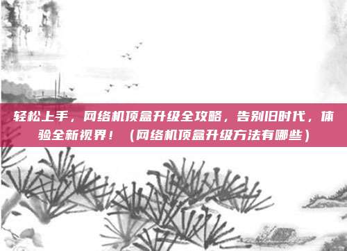 轻松上手,网络机顶盒升级全攻略,告别旧时代,体验全新视界!(网络机顶盒升级方法有哪些)
