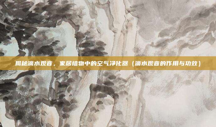 揭秘滴水观音，家居植物中的空气净化器（滴水观音的作用与功效）