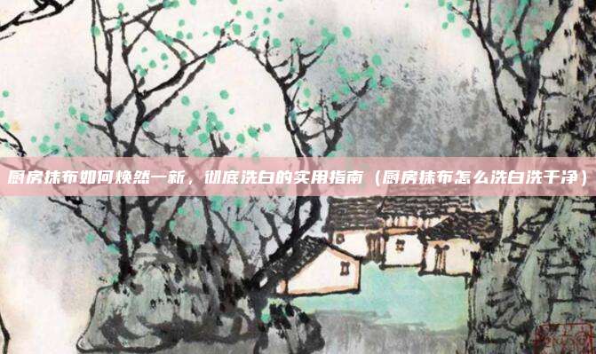 厨房抹布如何焕然一新，彻底洗白的实用指南（厨房抹布怎么洗白洗干净）