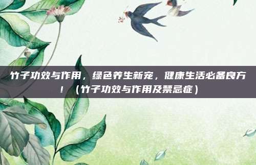 竹子功效与作用,绿色养生新宠,健康生活必备良方!(竹子功效与作用及禁忌症)