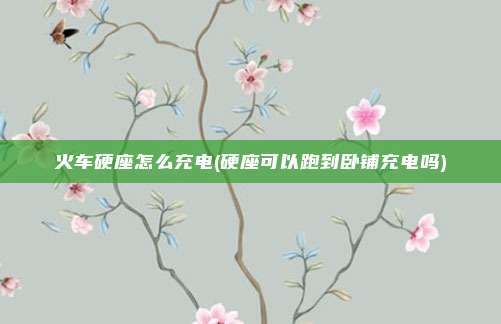 火车硬座怎么充电(硬座可以跑到卧铺充电吗)