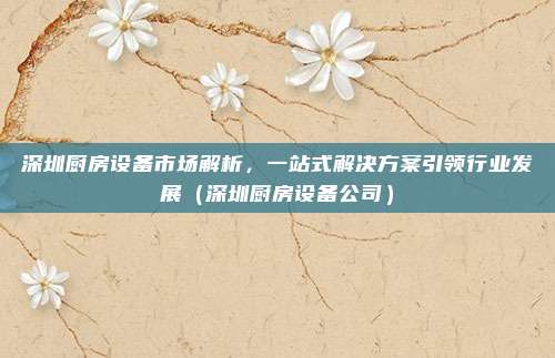 深圳厨房设备市场解析,一站式解决方案引领行业发展(深圳厨房设备公司)