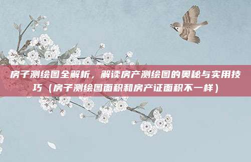 房子测绘图全解析，解读房产测绘图的奥秘与实用技巧（房子测绘图面积和房产证面积不一样）