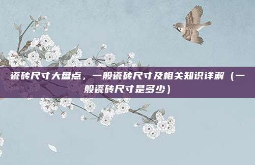 瓷砖尺寸大盘点,一般瓷砖尺寸及相关知识详解(一般瓷砖尺寸是多少)