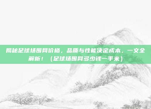 揭秘足球场围网价格，品质与性能决定成本，一文全解析！（足球场围网多少钱一平米）