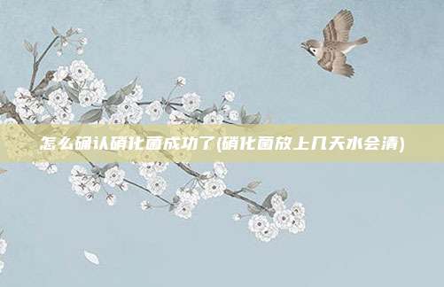 怎么确认硝化菌成功了(硝化菌放上几天水会清)