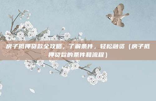 房子抵押贷款全攻略,了解条件,轻松融资(房子抵押贷款的条件和流程)