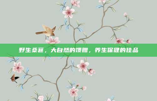 野生桑葚,大自然的馈赠,养生保健的佳品