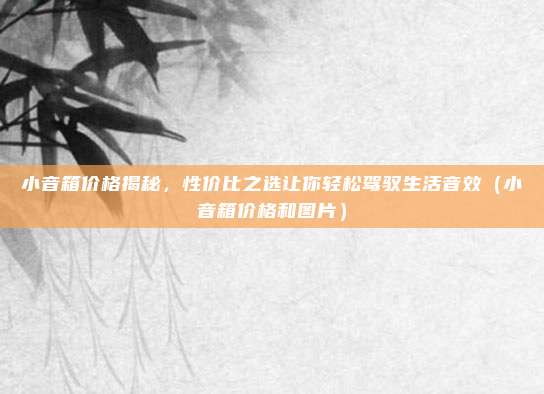 小音箱价格揭秘，性价比之选让你轻松驾驭生活音效（小音箱价格和图片）
