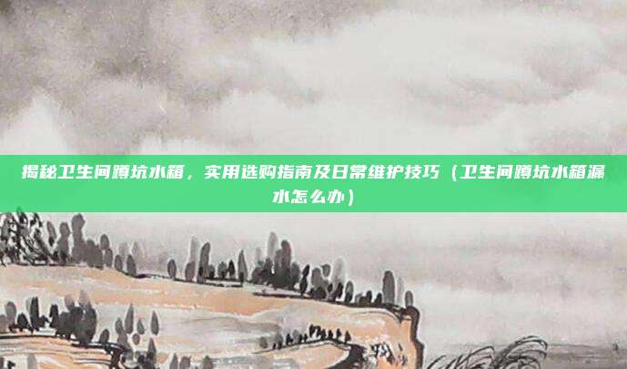 揭秘卫生间蹲坑水箱,实用选购指南及日常维护技巧(卫生间蹲坑水箱漏水怎么办)