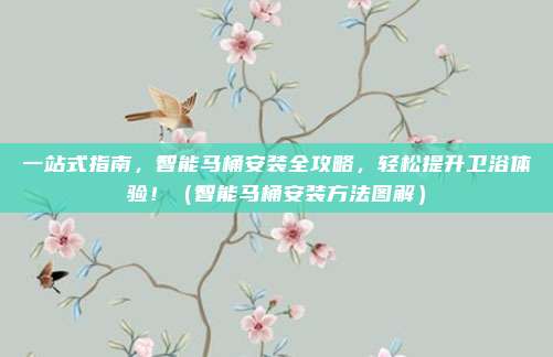 一站式指南，智能马桶安装全攻略，轻松提升卫浴体验！（智能马桶安装方法图解）