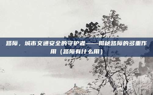 路障,城市交通安全的守护者——揭秘路障的多重作用(路障有什么用)
