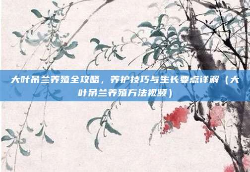大叶吊兰养殖全攻略，养护技巧与生长要点详解（大叶吊兰养殖方法视频）