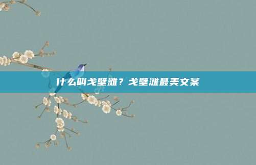 什么叫戈壁滩？戈壁滩最美文案