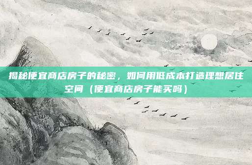 揭秘便宜商店房子的秘密，如何用低成本打造理想居住空间（便宜商店房子能买吗）