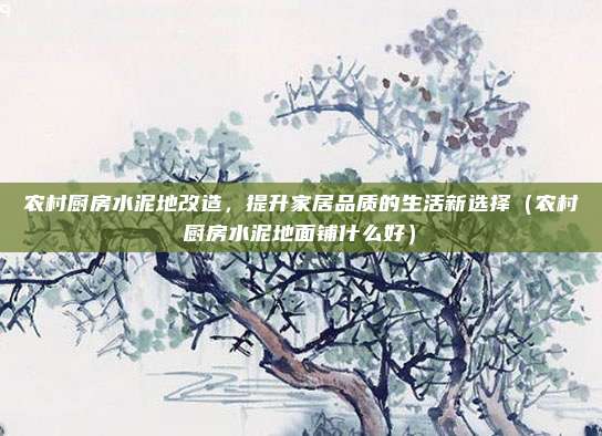 农村厨房水泥地改造，提升家居品质的生活新选择（农村厨房水泥地面铺什么好）