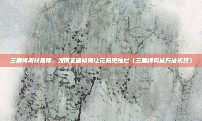 三角梅剪枝指南,如何正确修剪让花朵更灿烂(三角梅剪枝方法视频)