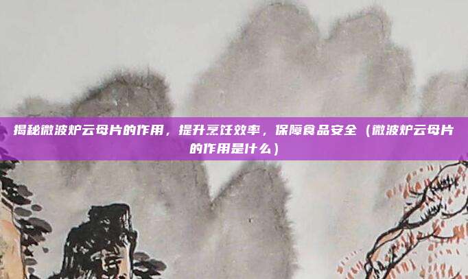 揭秘微波炉云母片的作用，提升烹饪效率，保障食品安全（微波炉云母片的作用是什么）
