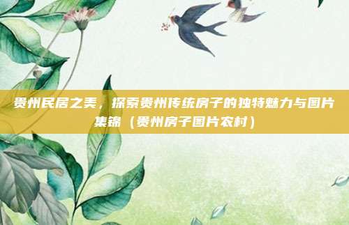 贵州民居之美,探索贵州传统房子的独特魅力与图片集锦(贵州房子图片农村)
