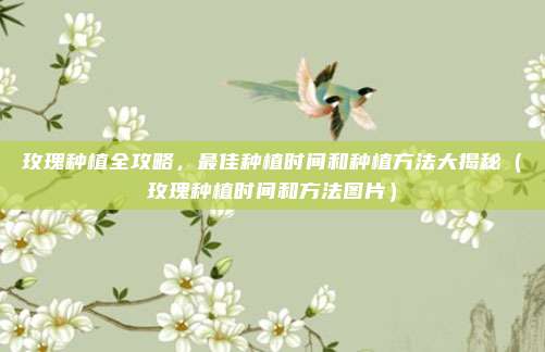 玫瑰种植全攻略,最佳种植时间和种植方法大揭秘(玫瑰种植时间和方法图片)