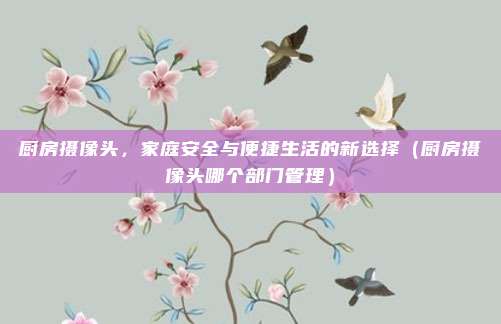 厨房摄像头，家庭安全与便捷生活的新选择（厨房摄像头哪个部门管理）