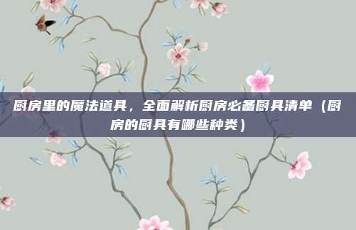 厨房里的魔法道具,全面解析厨房必备厨具清单(厨房的厨具有哪些种类)