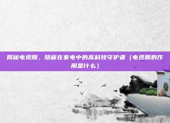 揭秘电视膜，隐藏在家电中的高科技守护者（电视膜的作用是什么）