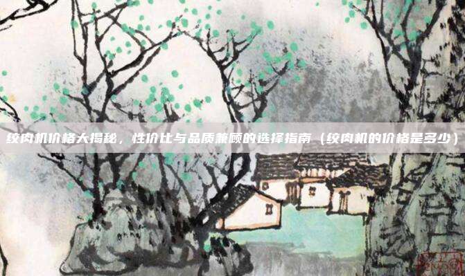绞肉机价格大揭秘，性价比与品质兼顾的选择指南（绞肉机的价格是多少）