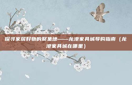 探寻家居好物的聚集地——龙港家具城导购指南（龙港家具城在哪里）
