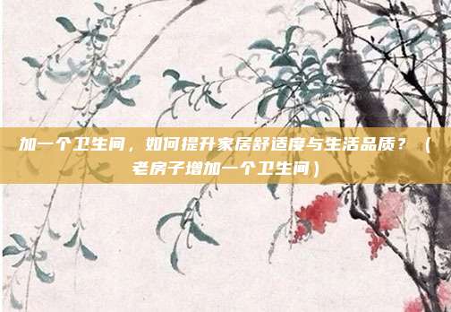 加一个卫生间,如何提升家居舒适度与生活品质?(老房子增加一个卫生间)