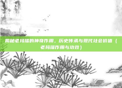 揭秘老玛瑙的神奇作用,历史传承与现代社会价值(老玛瑙作用与功效)