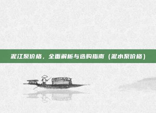泥江泵价格，全面解析与选购指南（泥水泵价格）