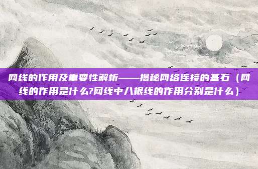 网线的作用及重要性解析——揭秘网络连接的基石(网线的作用是什么?网线中八根线的作用分别是什么)