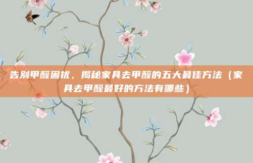 告别甲醛困扰，揭秘家具去甲醛的五大最佳方法（家具去甲醛最好的方法有哪些）