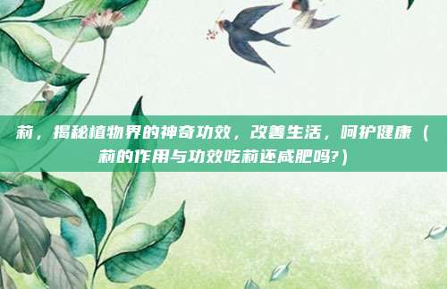 莉,揭秘植物界的神奇功效,改善生活,呵护健康(莉的作用与功效吃莉还咸肥吗?)